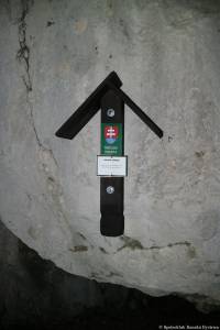 480.jpg